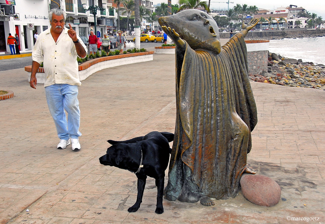 MANN HUND PUERTO VALLARTE MEXICO 